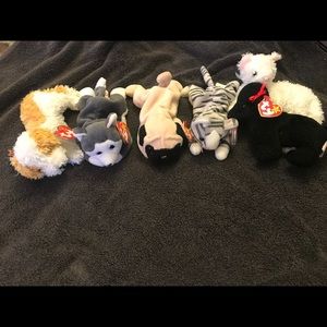 Lot of Dog and cat beanie babies